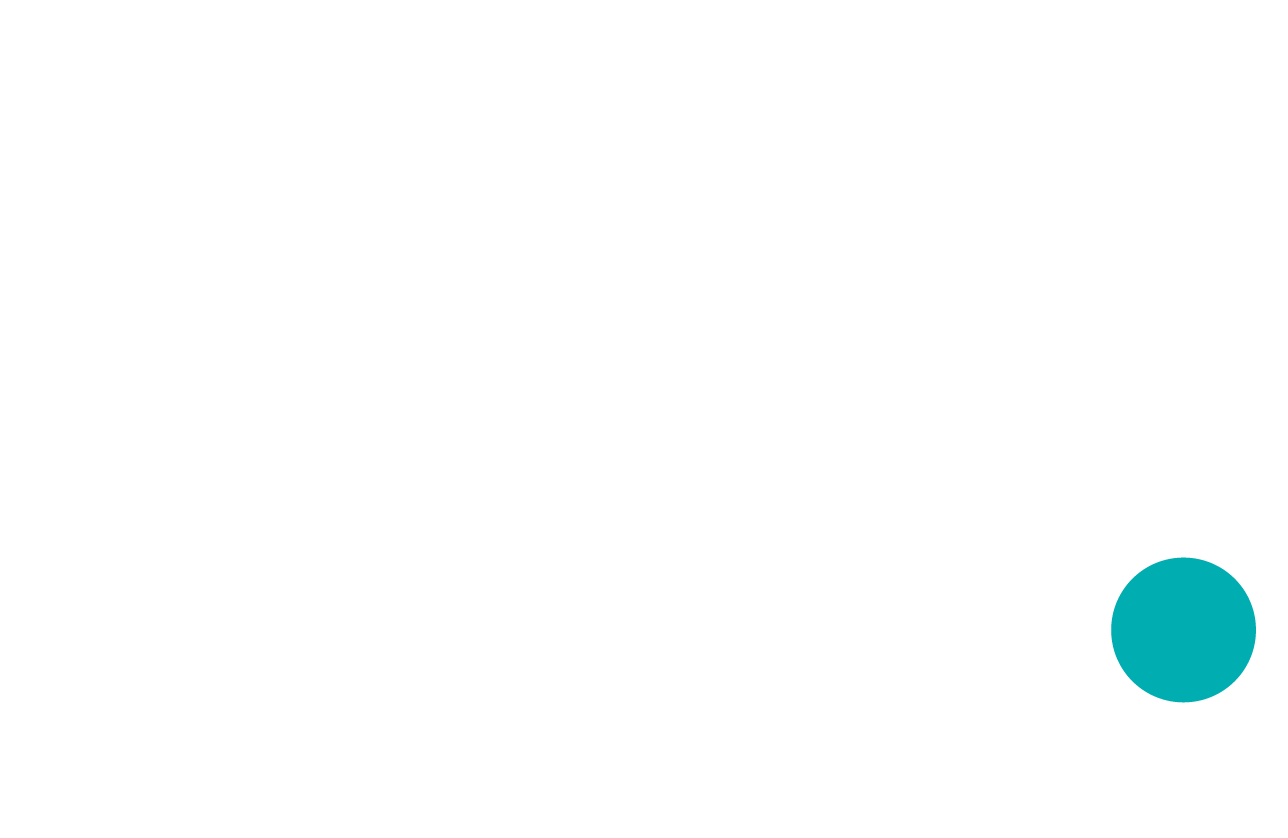 logo2